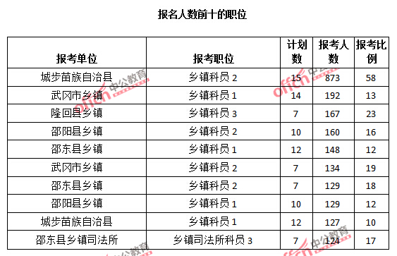 報名人數前十的職位